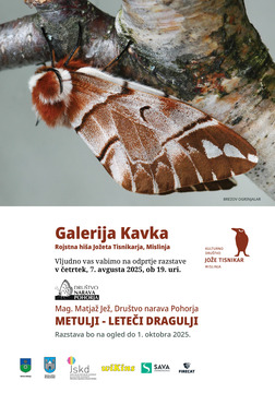 Razstava metulji_digital